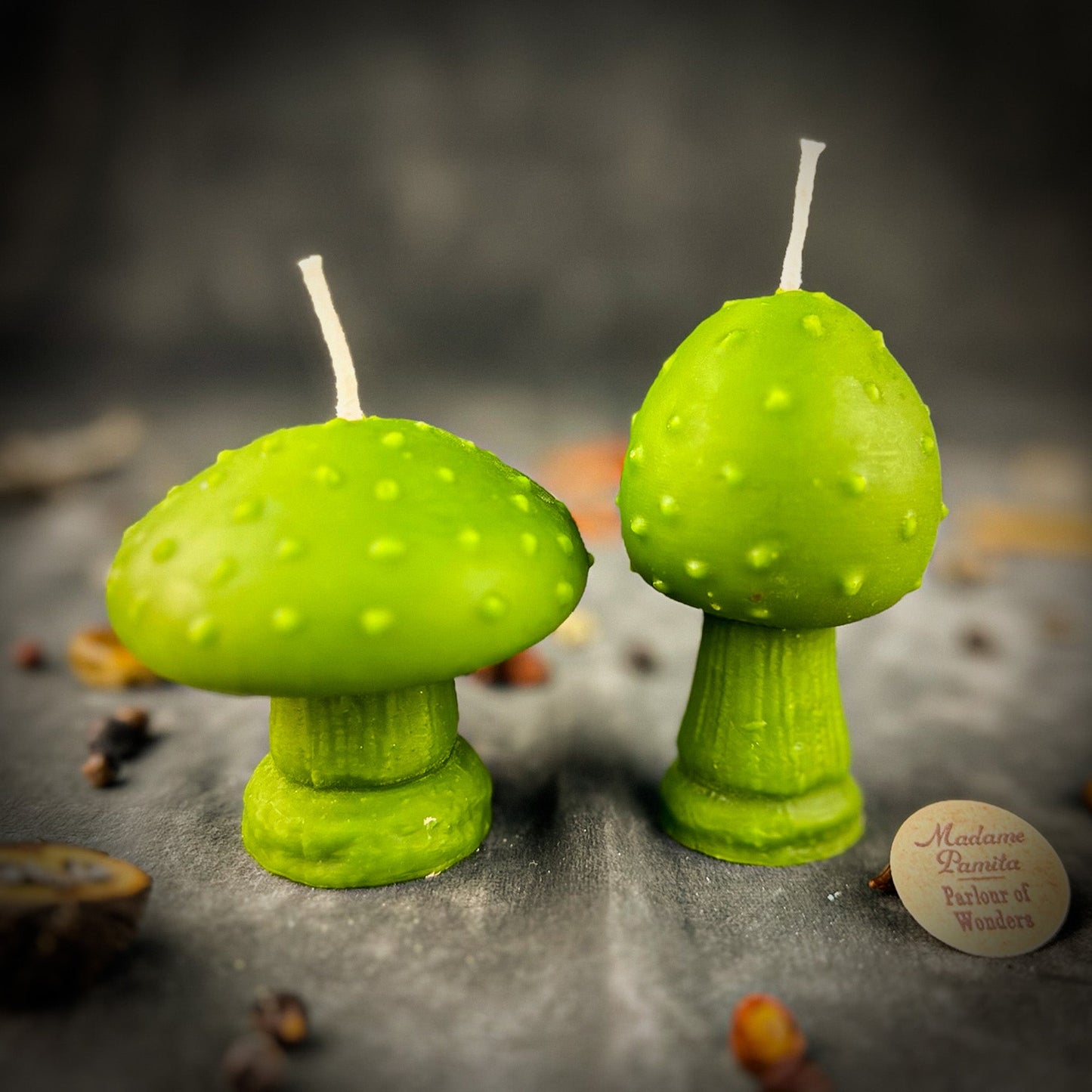 Mystical Mushroom Duo Candle Spell Kit - Forest Wisdom & Shadow Work Magic