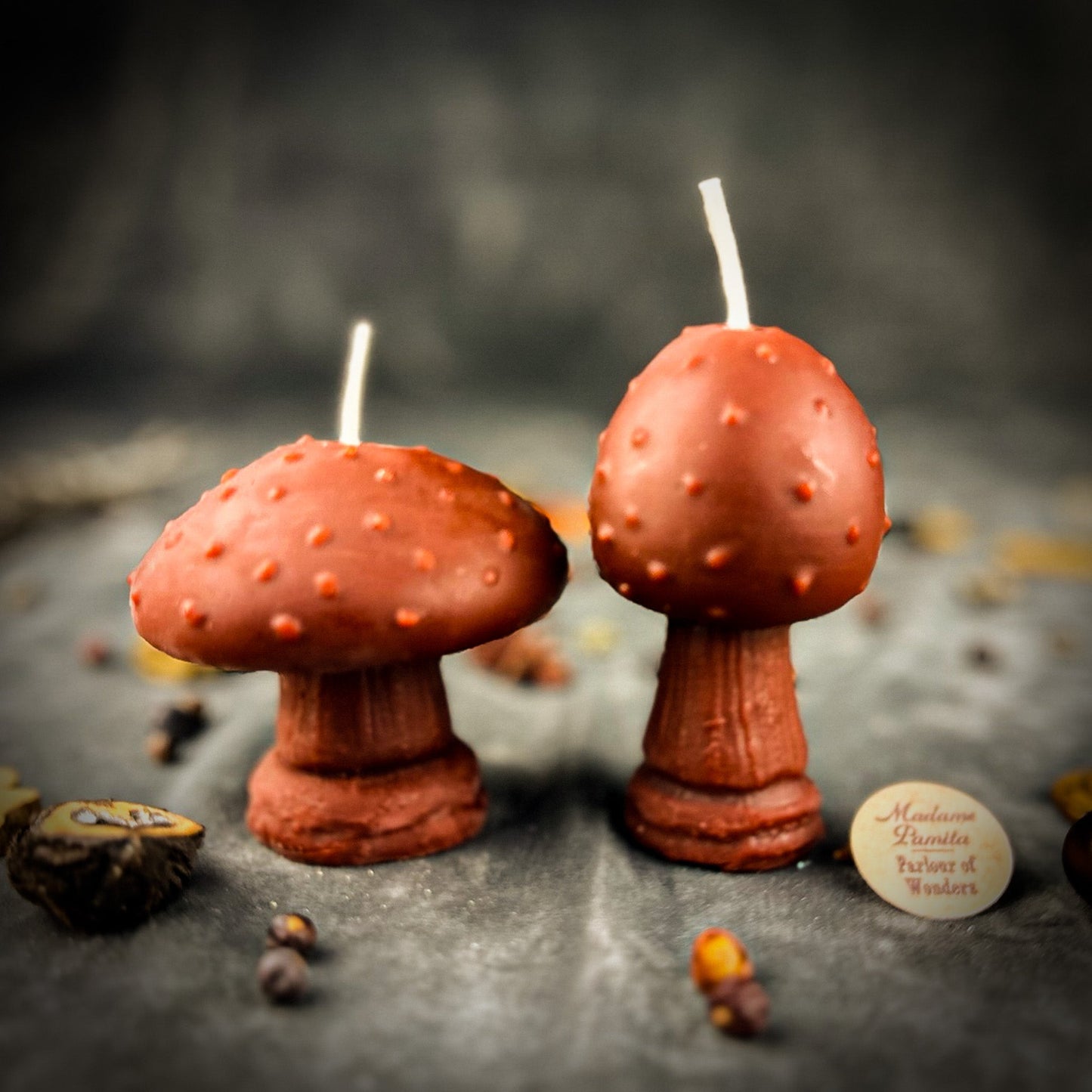 Mystical Mushroom Duo Candle Spell Kit - Forest Wisdom & Shadow Work Magic