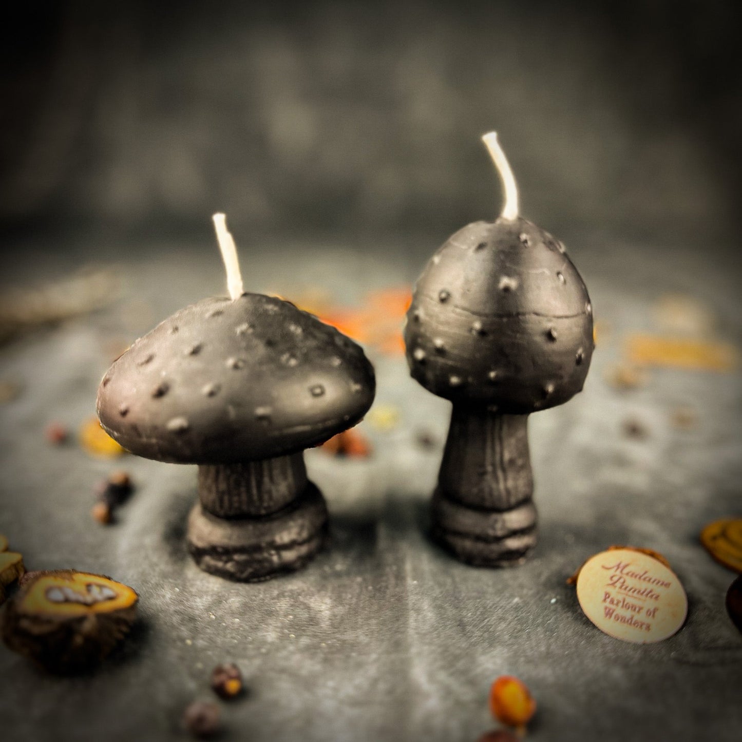 Mystical Mushroom Duo Candle Spell Kit - Forest Wisdom & Shadow Work Magic