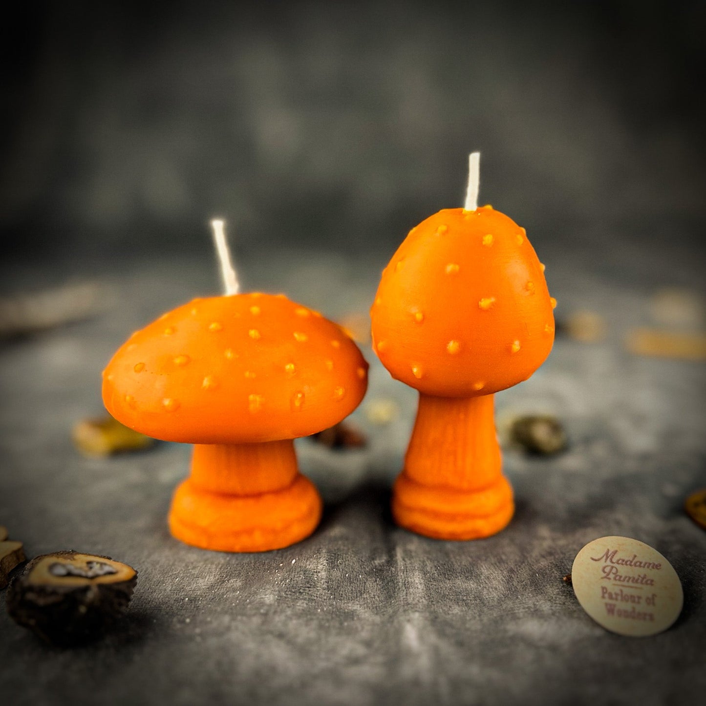 Mystical Mushroom Duo Candle Spell Kit - Forest Wisdom & Shadow Work Magic