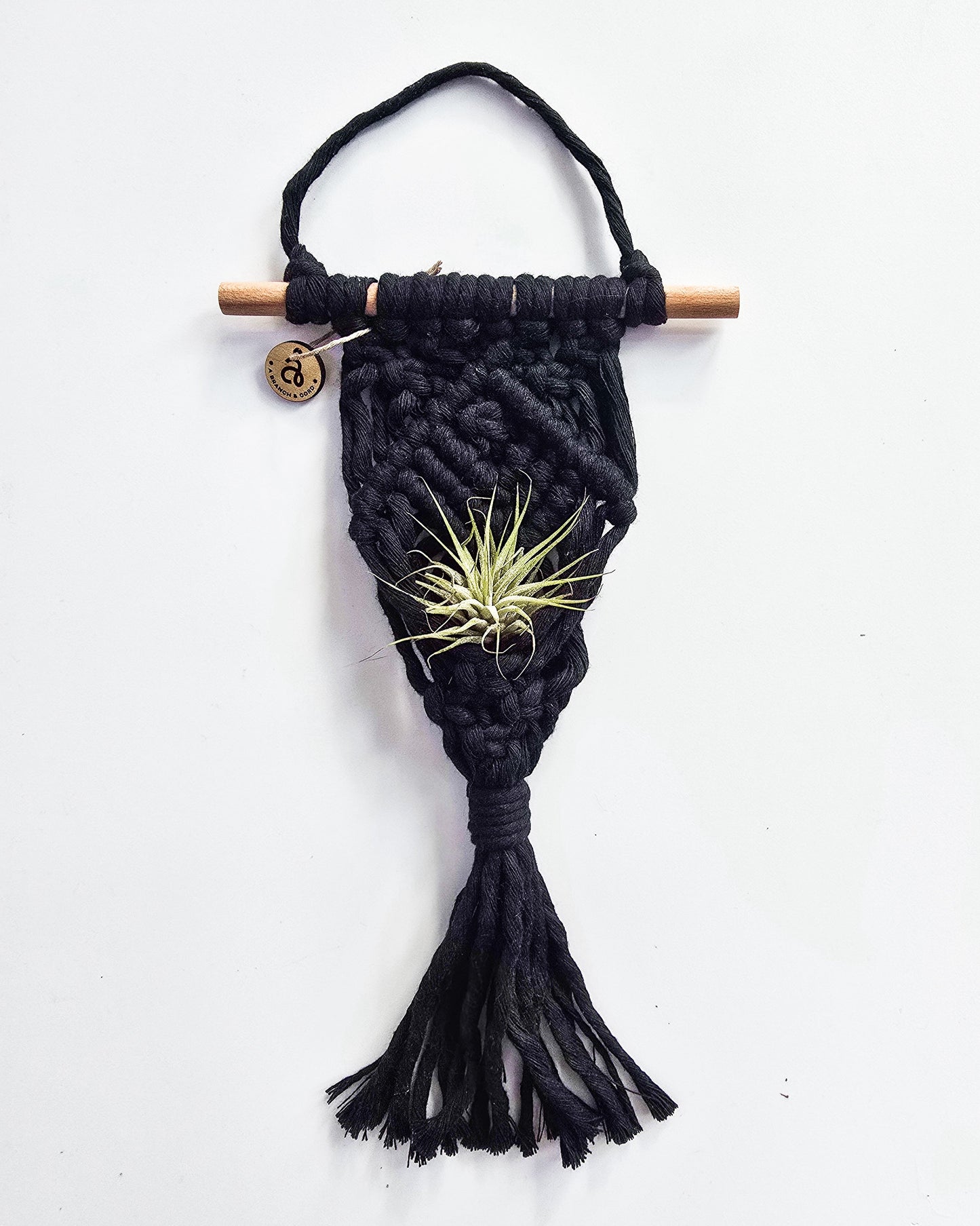 Macrame Air Plant Hanger