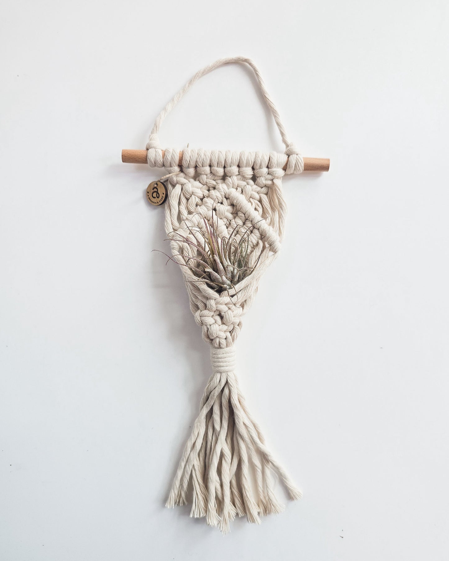 Macrame Air Plant Hanger