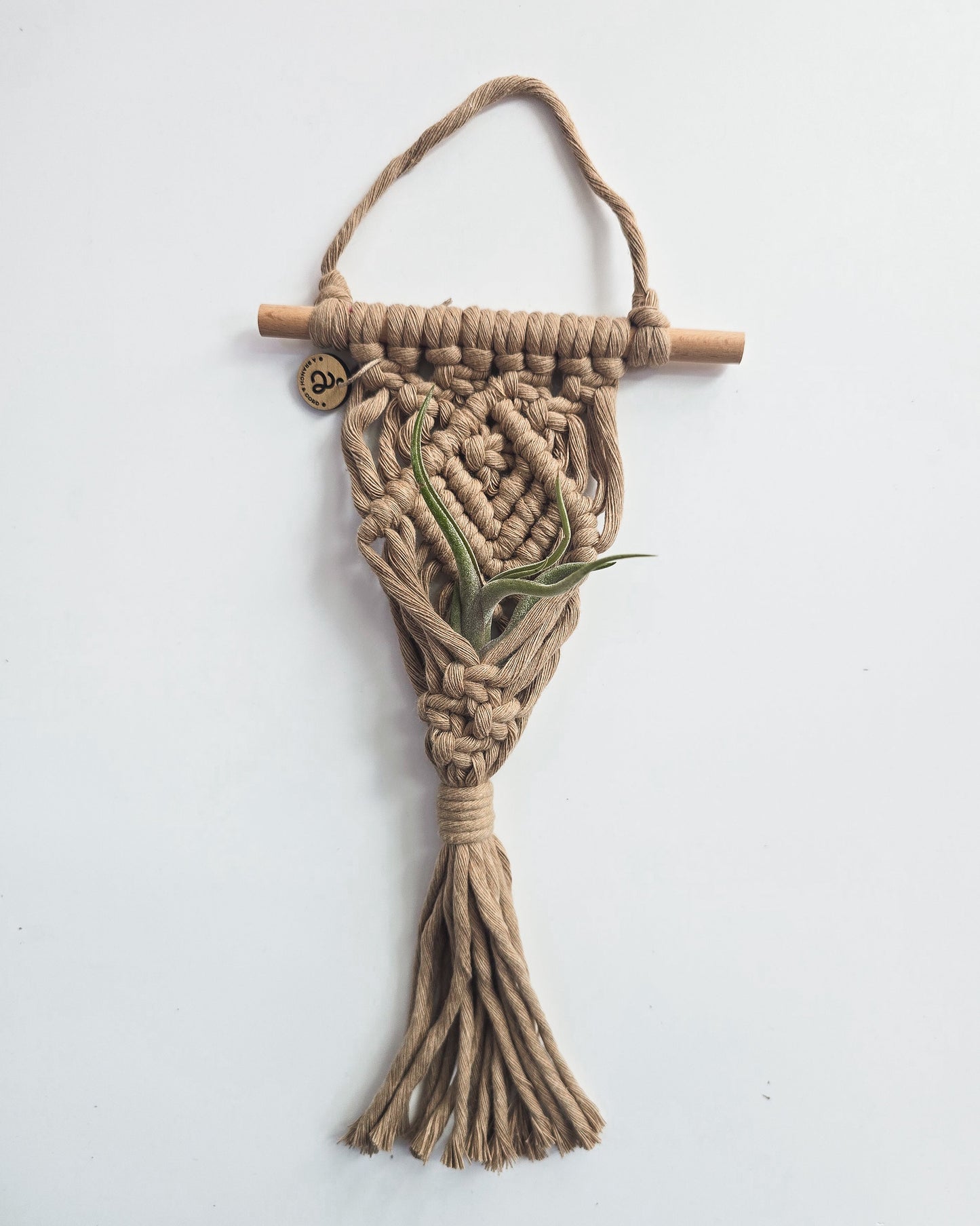 Macrame Air Plant Hanger