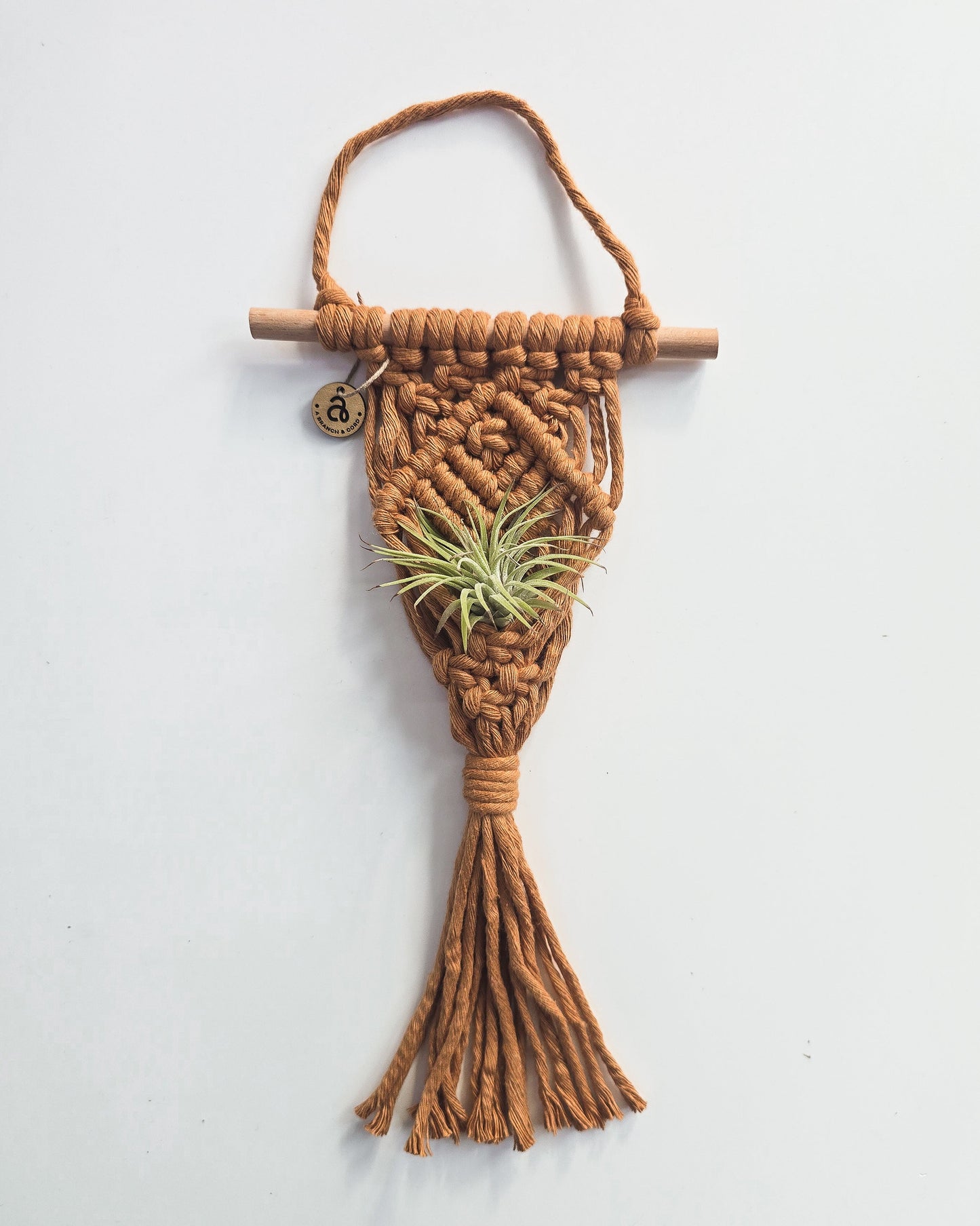 Macrame Air Plant Hanger