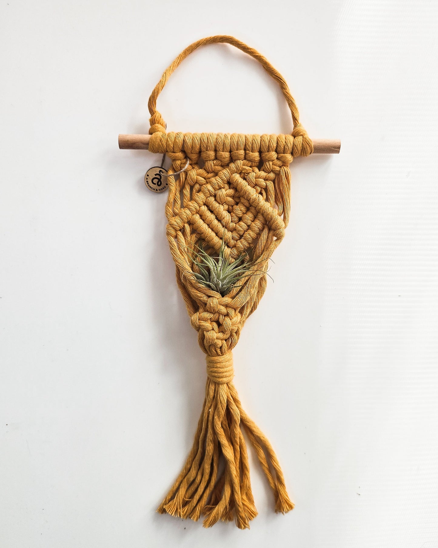 Macrame Air Plant Hanger