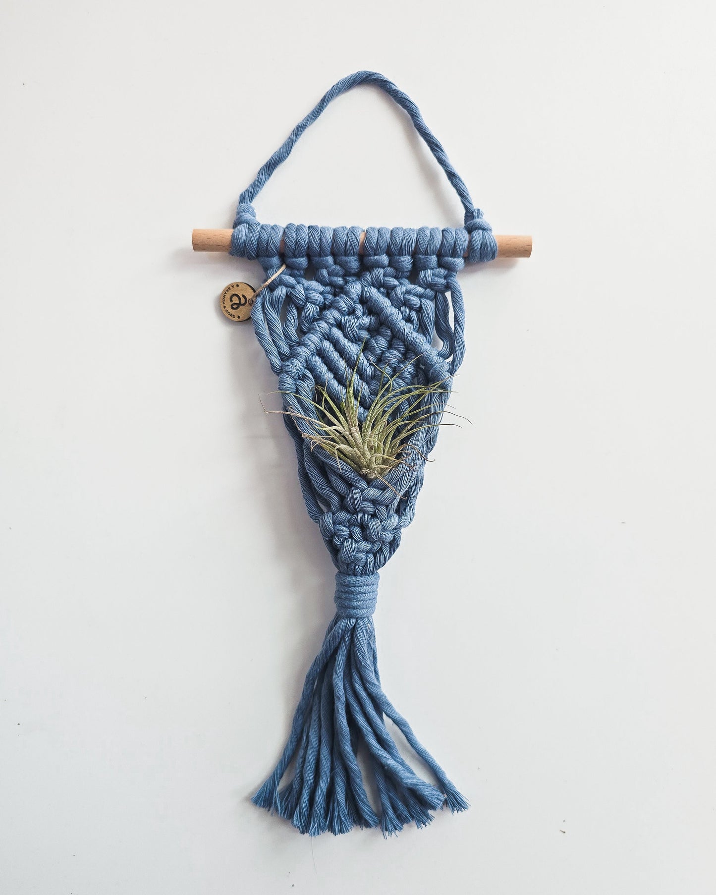 Macrame Air Plant Hanger