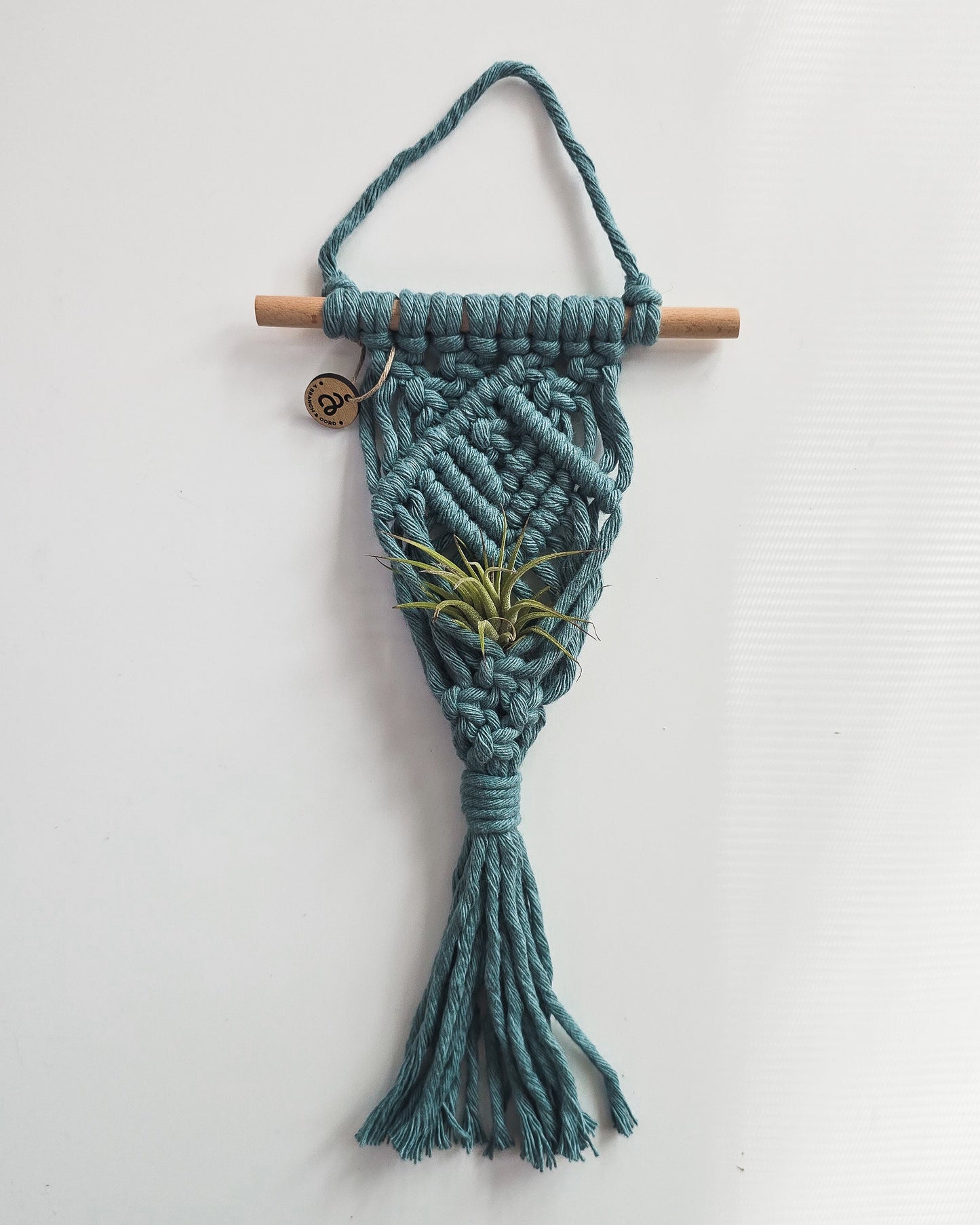 Macrame Air Plant Hanger